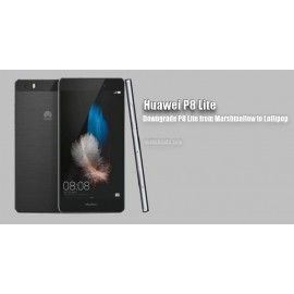 Forfait vitre Huawei P8 Lite ALE-21