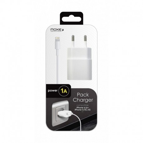 Chargeur secteur 1A avec câble 1m pour iPhone 5,6,7, Ipad 3,4,Air, mini