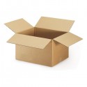 Carton RAJA 20x20x11 cm