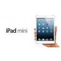 iPad mini