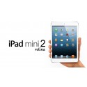 iPad mini 2